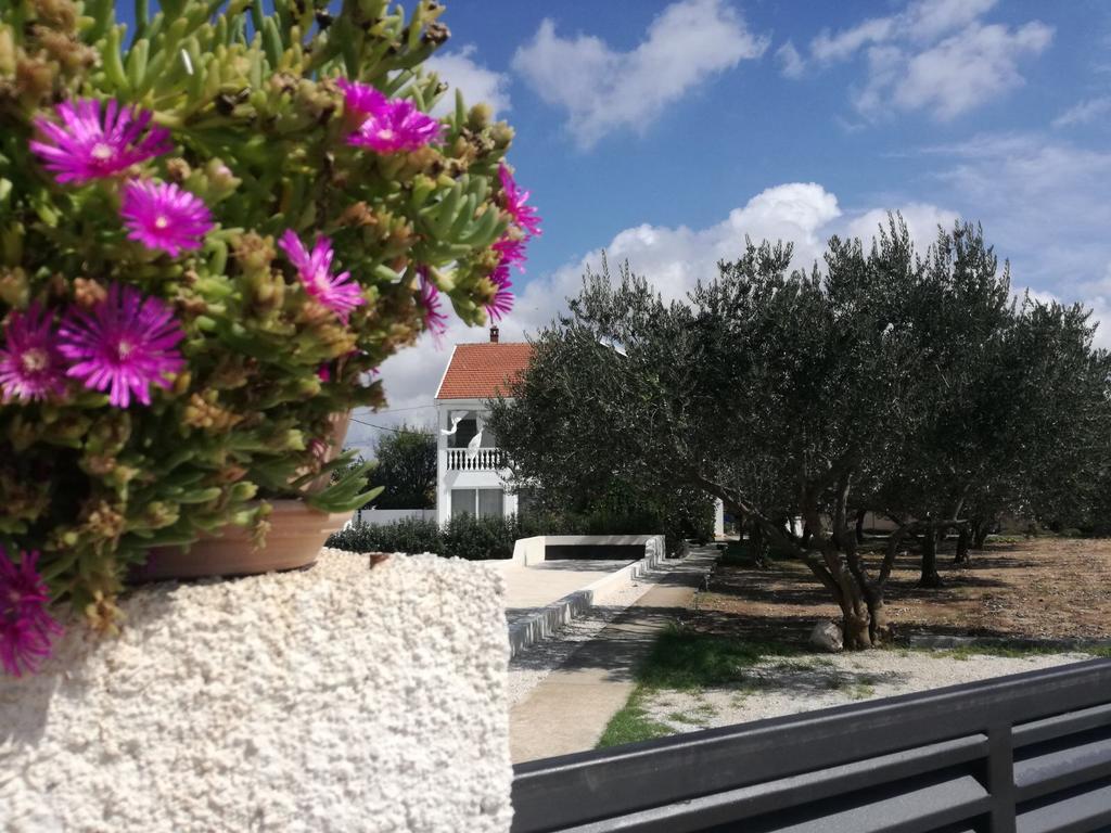 Holiday Home Villa Emma Debeljak المظهر الخارجي الصورة