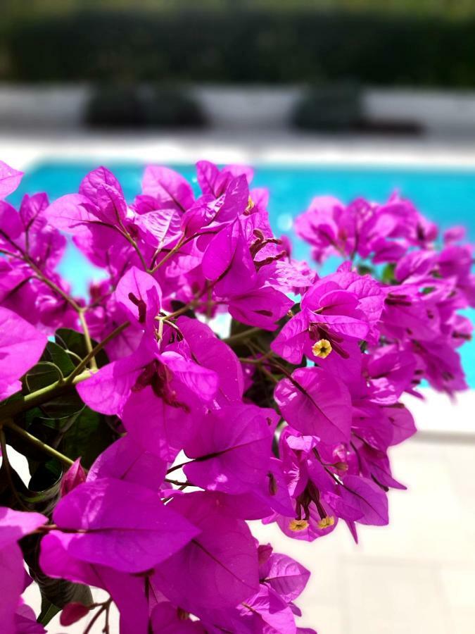 Holiday Home Villa Emma Debeljak المظهر الخارجي الصورة